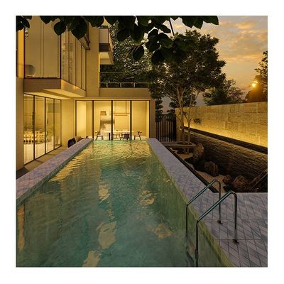 Customized Acrylic Panel Thickness Coffee Color Fibreglass Backyard Sky Lap Pool Design
