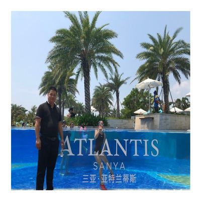 Modular Window and Acrylic Panels Plastic Sheets for Customer's Demand Swimming Pool