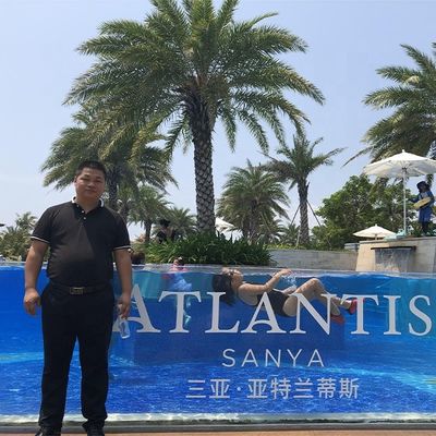 Diaphaneity High Light Transmission Custom University Above Ground Swimming Pool