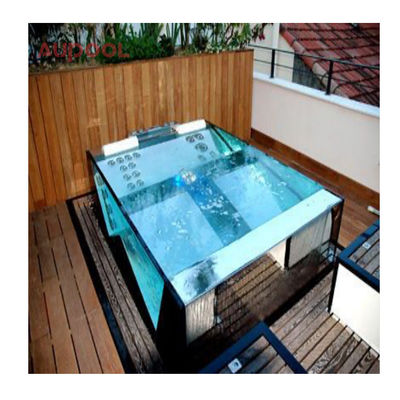 Acrylic-100% Lucite PMMA Imported Swimming Pool Skimmer for Clear Transparent Design