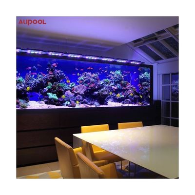 High Surface Hardness Acrylic Outside Swimming Pool with Super Thick Perspex Glass