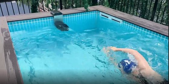 Transform Your Rise Interior into a Swimming Destination with Aupool Above Ground Pool