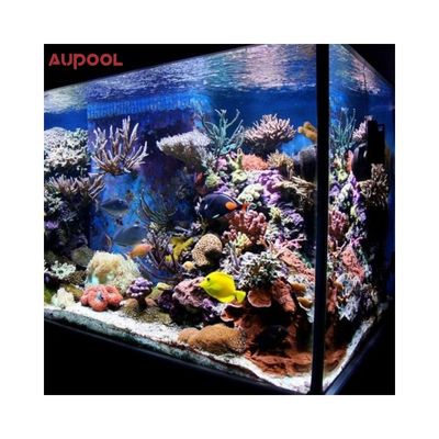 Plastic Outdoor Glass Wall Acrylic Glass Pool for Hotels Gyms Schools and Sanatoriums