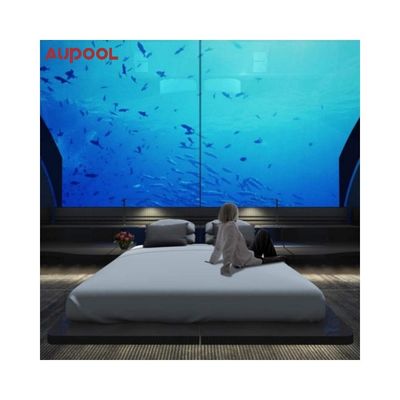 Customer's Demand Customized Above Ground Swimming Pool with Fiberglass Plastic Acrylic