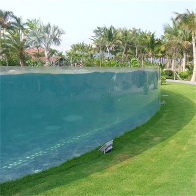 Customized Acrylic Panel Thickness Coffee Color Fibreglass Backyard Sky Lap Pool Design