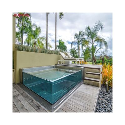 Custom Container Pool with Window Shower House and Spa High Light Transmission 93%