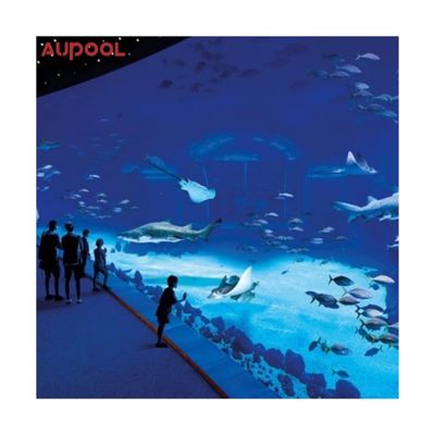 Fashion Design Piscina Pvc Adult Children Durable Inflatable Acrylic Frame Swimming Pool