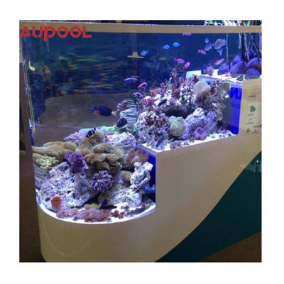 Durable Wall Hung Pipeless Swimming Pool Acrylic Fiberglass Filter for Easy Install