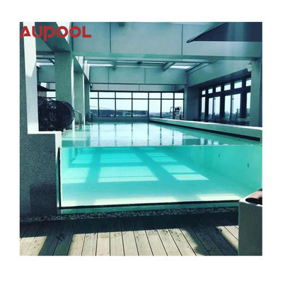 Wall Mounted Pipeless Filter Clear Acrylic Pool for Customized House Yard Swimming Pools