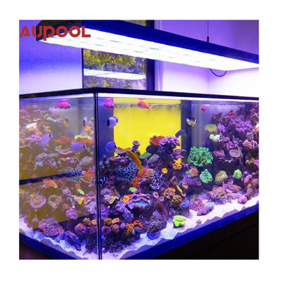 Customized Above Ground Fiberglass Jet Stream Swimming Pool with Durable Balance Tank