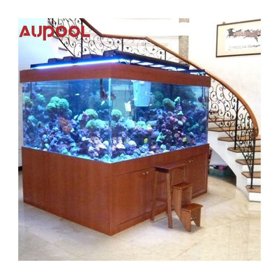Transparent Acrylic Wall for Pool Aquarium Customized 100mm Thickness Garden Landscape