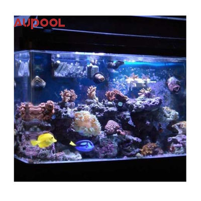 Transparent Acrylic Wall for Pool Aquarium Customized 100mm Thickness Garden Landscape