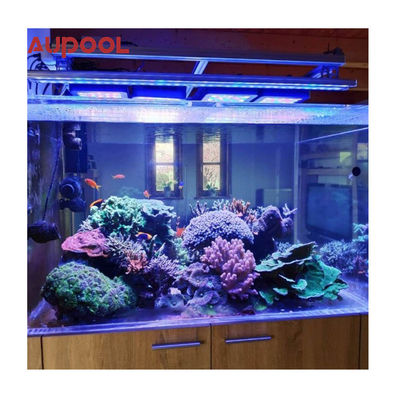 Transparent Acrylic Wall for Pool Aquarium Customized 100mm Thickness Garden Landscape