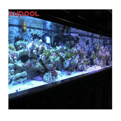 60Mm 80Mm Clear Acrylic Swimming Pool With Acrylicpool Wall With Crystal Clear Water