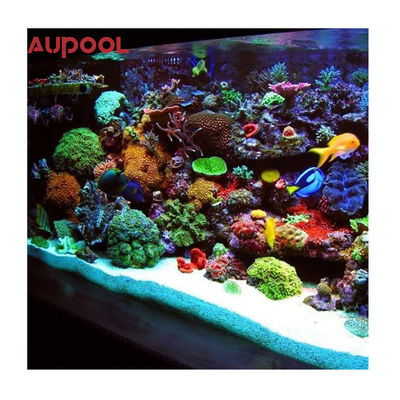 60Mm 80Mm Clear Acrylic Swimming Pool With Acrylicpool Wall With Crystal Clear Water