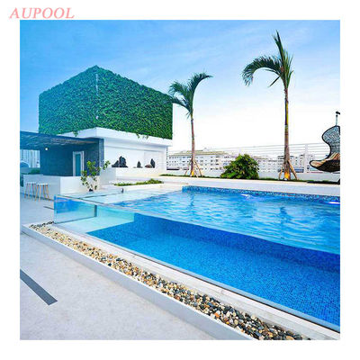 Transparent Swimming Pool Cleaner Triangular Vacuum Head Cleaner for Family Swimming Pool