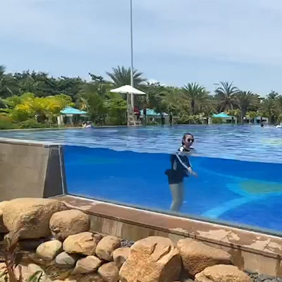 Indoor Pool With Aupool'S Luxurious Customized Black Bottom Swimming Pool
