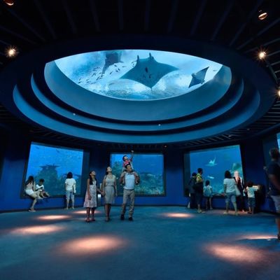 High Light Transmission Acrylic Glass Swimming Pool Wall Panels